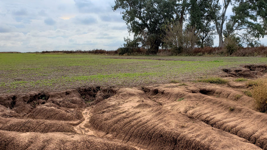 Erosión hídrica en campos productivos