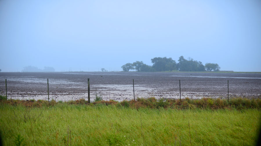 Precipitaciones